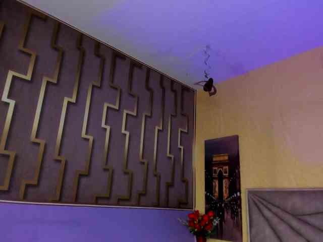 mariapaulac webcam