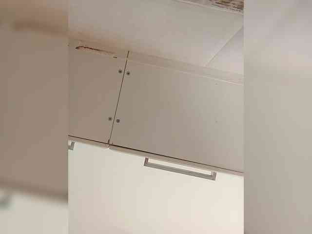 Xrisa webcam