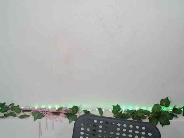 alina-m1 webcam