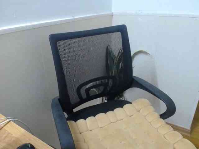 kitty-Yummy webcam