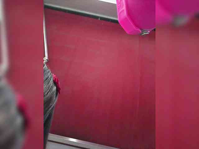 RachelCooper RachelCooper