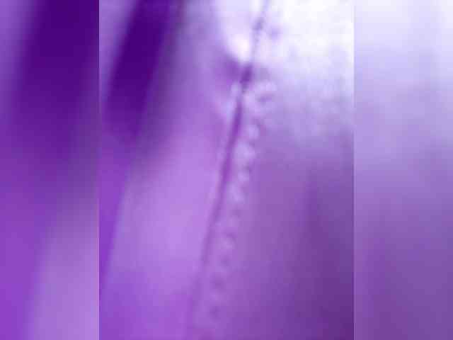 RachelCooper webcam
