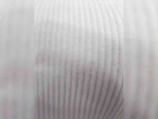 RachelCooper webcam