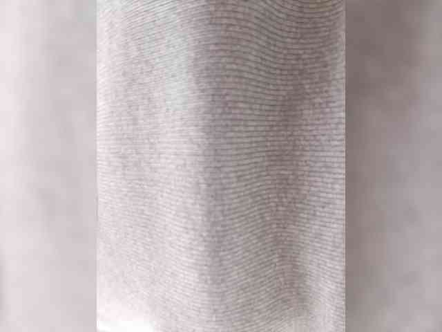 RachelCooper RachelCooper