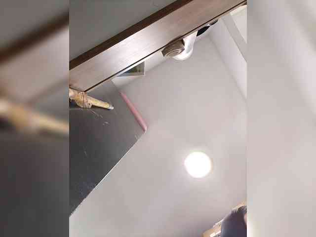 RachelCooper webcam