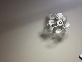 Webcam Snapshop for Lesbians