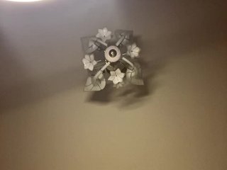 The-best-babies Porn Show