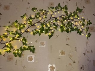 The-best-babies Porn Show