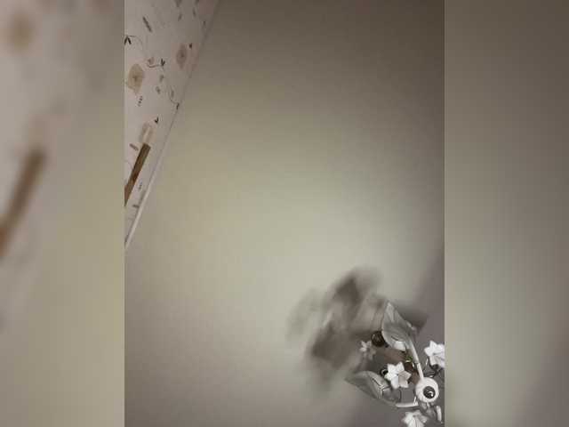 BellaAndAlice's BongaCams profile