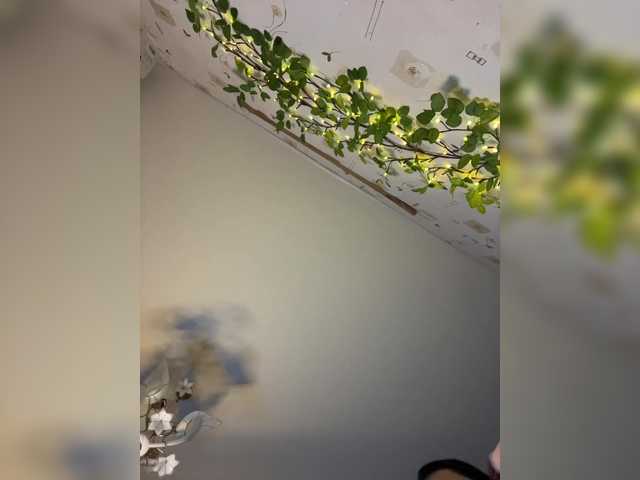 BellaAndAlice's BongaCams show and profile