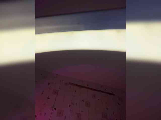 The-best-babies webcam