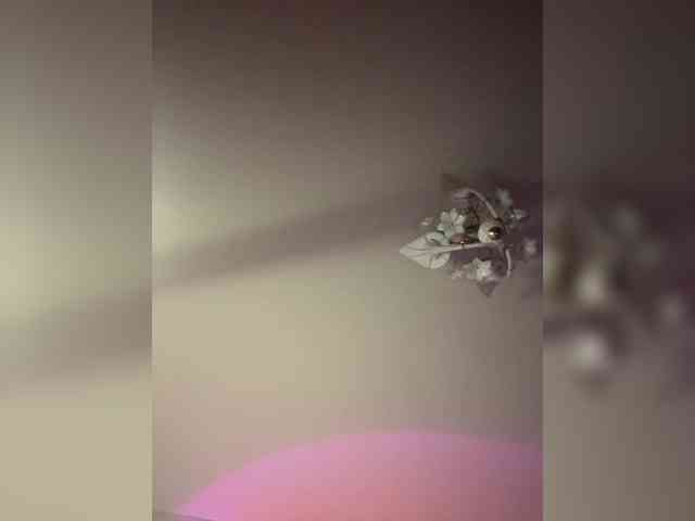 The-best-babies webcam