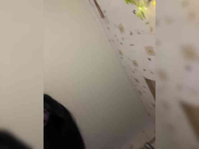 The-best-babies webcam