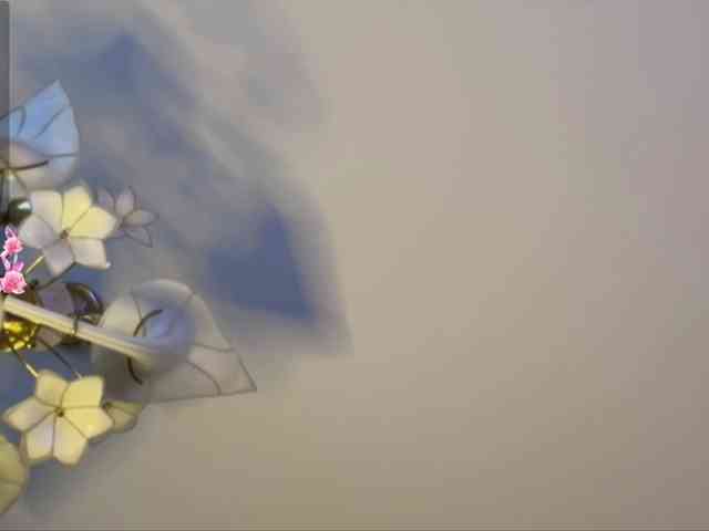 The-best-babies webcam