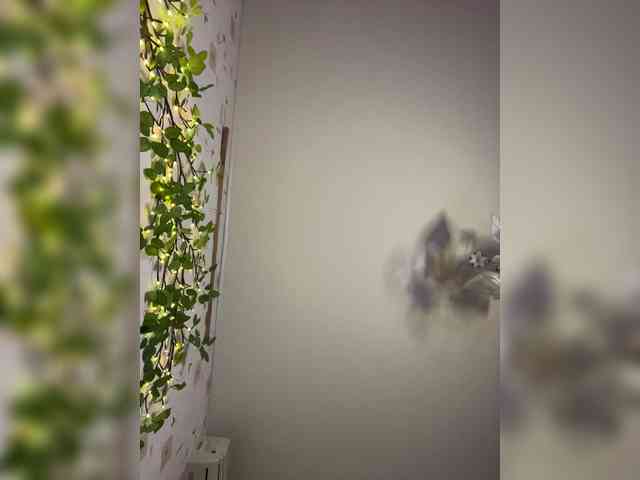 The-best-babies webcam