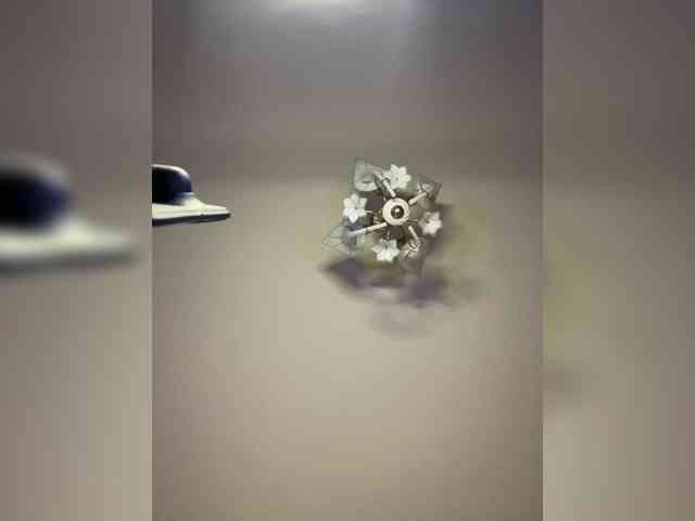 The-best-babies webcam