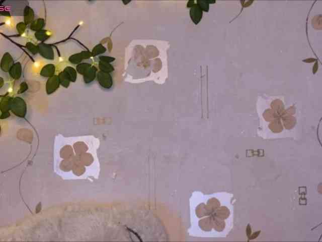 The-best-babies webcam