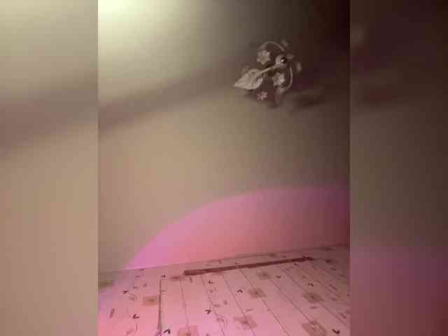 The-best-babies webcam