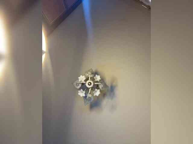 The-best-babies webcam