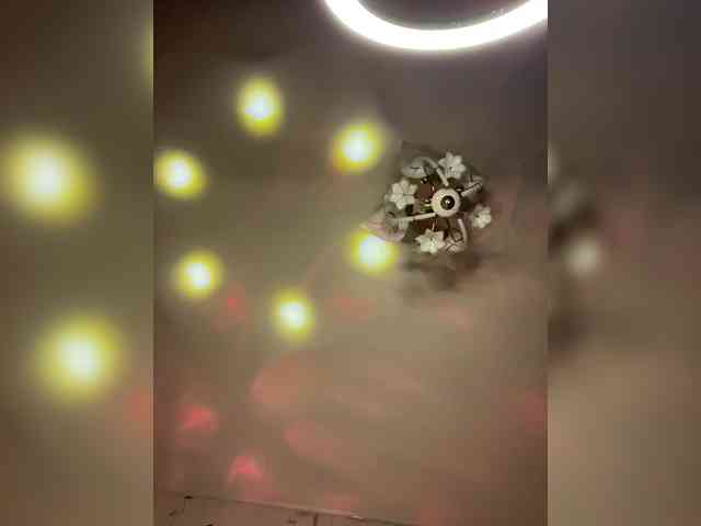 The-best-babies webcam