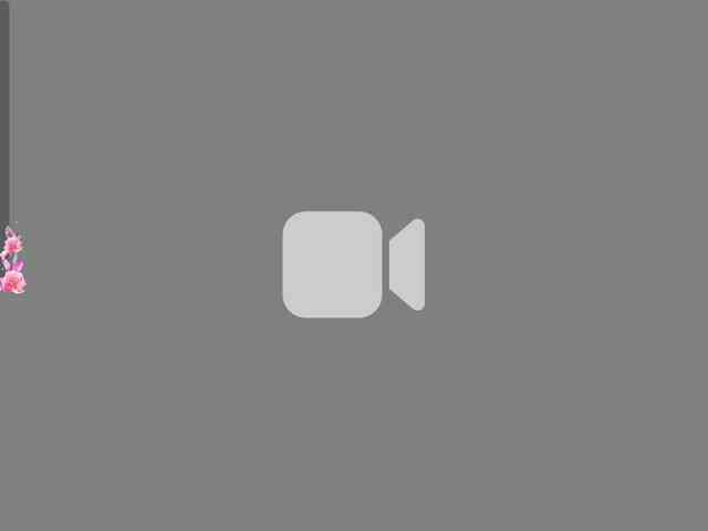 The-best-babies Live Webcam on BongaCams