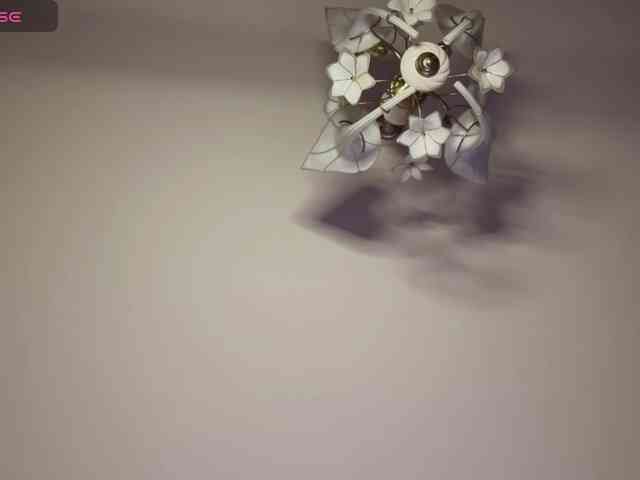 The-best-babies webcam