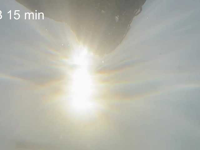 AlikBlack's BongaCams show and profile