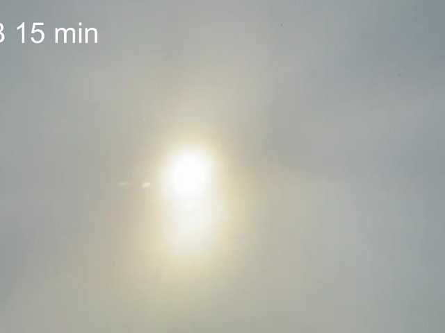 AlikBlack's BongaCams show and profile