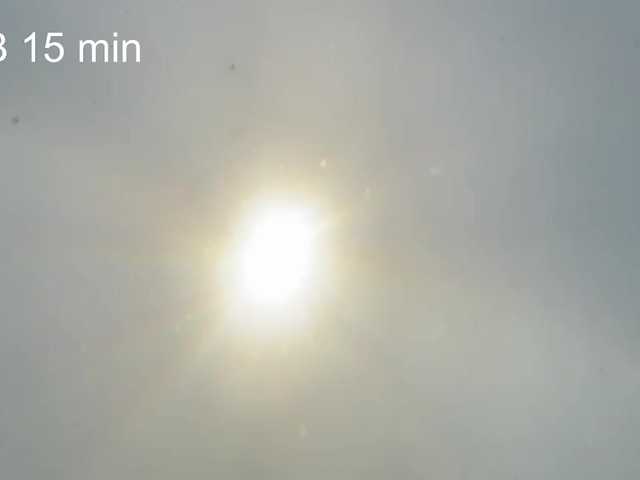 AlikBlack's BongaCams show and profile