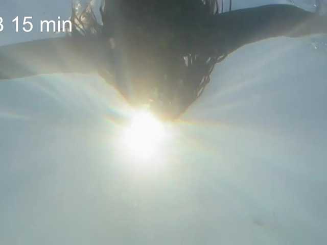 AlikBlack's BongaCams show and profile