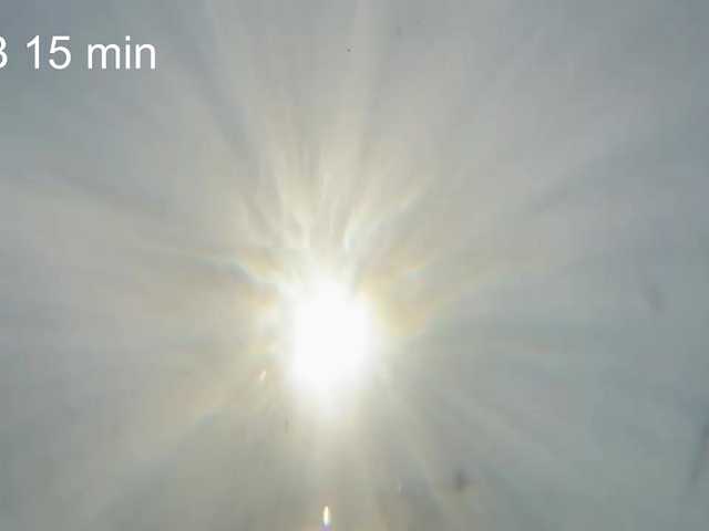 AlikBlack's BongaCams show and profile