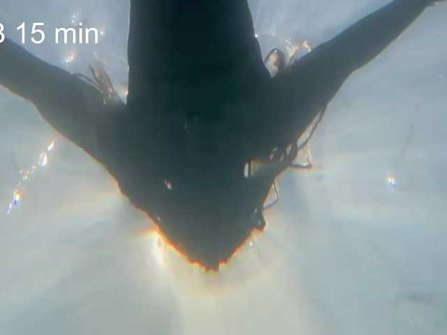 AlikBlack's BongaCams show and profile