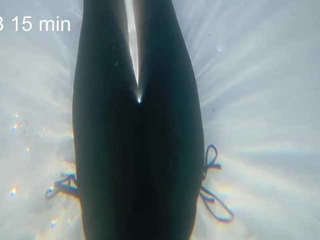 AlikBlack's BongaCams show and profile