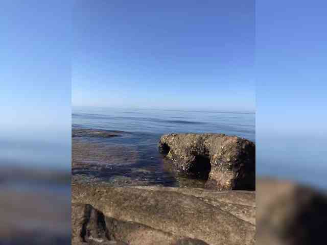 MamaKoska webcam