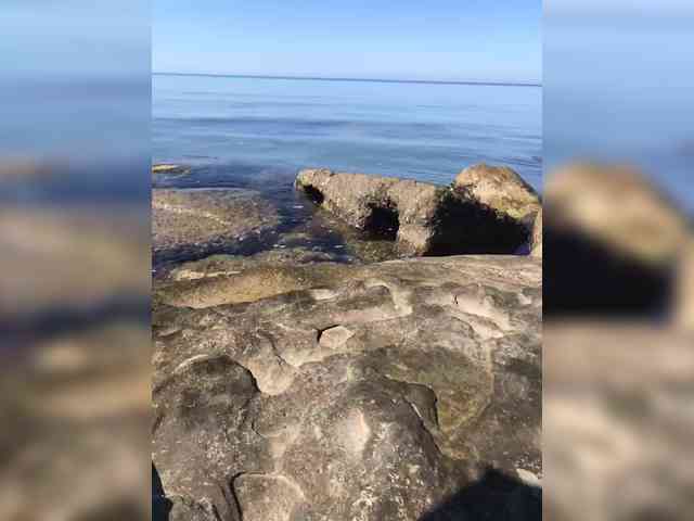 MamaKoska webcam