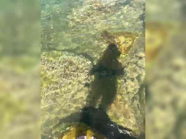 MamaKoska webcam