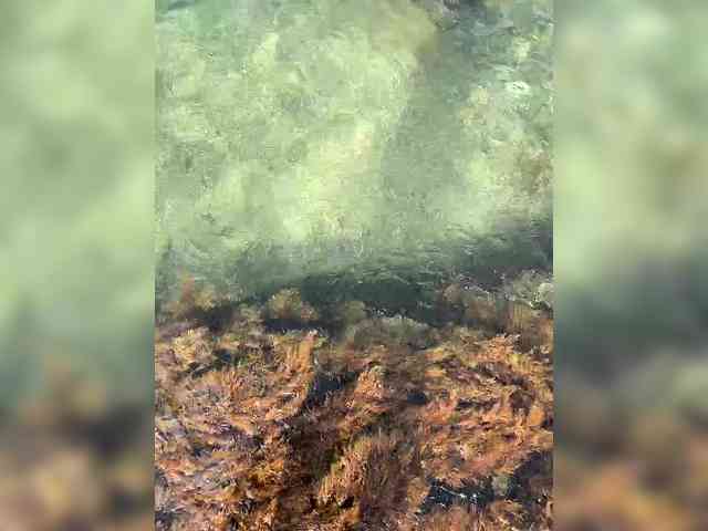 MamaKoska webcam