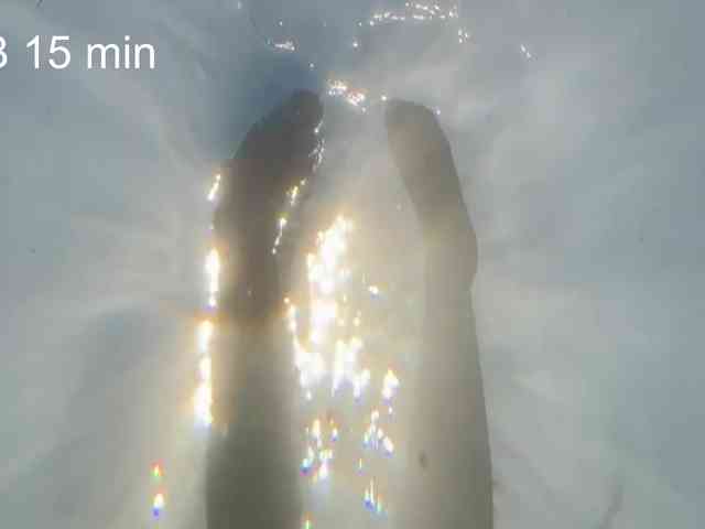 MamaKoska webcam