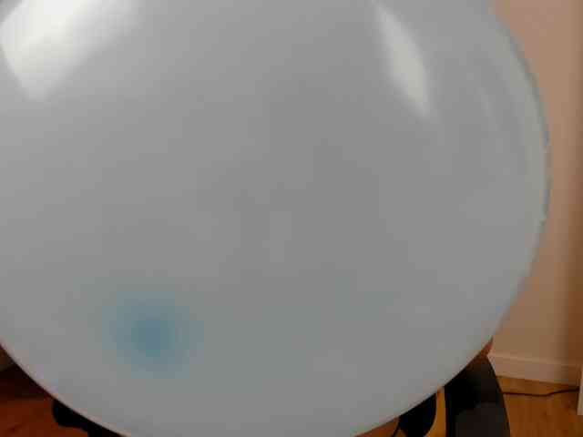 summerevans webcam