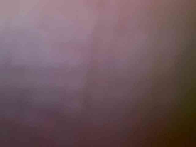 In-your-fucking-mind webcam