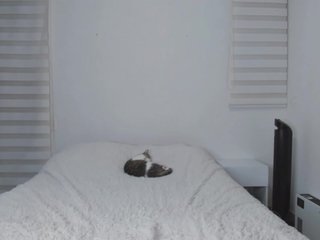 tigerbaby_ Porn Show