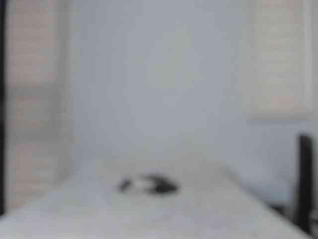 tigerbaby_ webcam