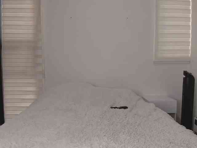 tigerbaby_ webcam
