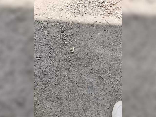 Maks_Schatalin