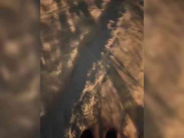 Wolfensteinn Wolfensteinn