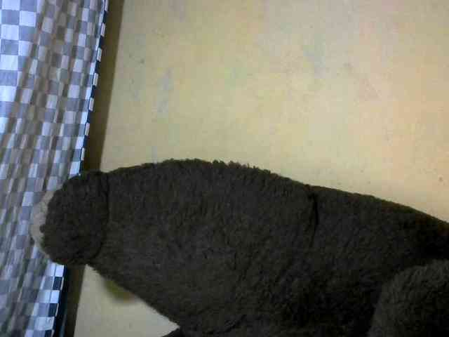 CAROLE71 webcam