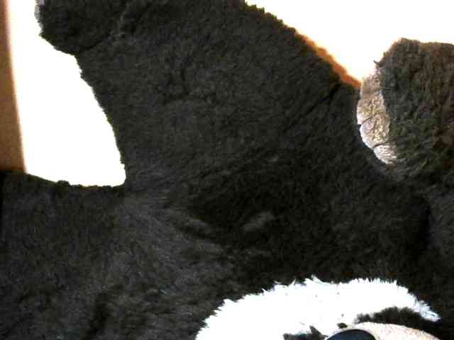 CAROLE71 webcam