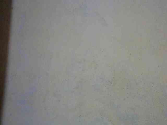 CAROLE71 webcam