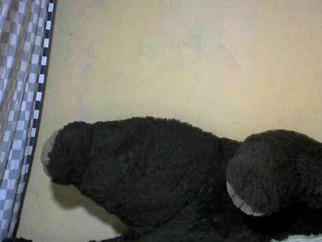 CAROLE71 webcam