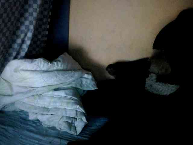 CAROLE71 webcam